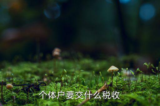 個體商戶納什么稅，個體戶要交什么稅收