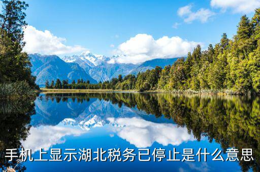 國稅業(yè)務(wù)停用什么意思，手機上顯示湖北稅務(wù)已停止是什么意思