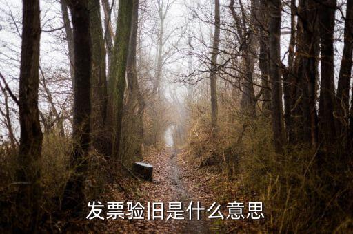 稅務(wù)驗(yàn)舊是什么意思，發(fā)票驗(yàn)證時提示舊系統(tǒng)已驗(yàn)舊是什么意思