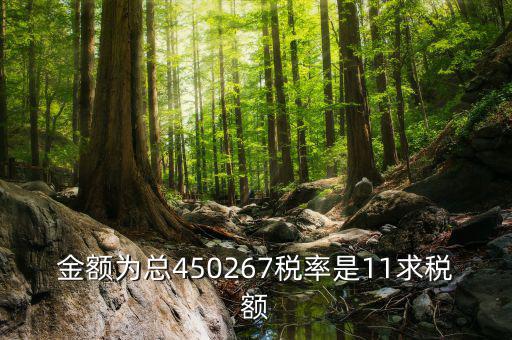 11 是什么稅率，招標文件稅率為人工費11是什么意思