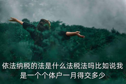 什么是依法納稅人，依法納稅的法是什么法稅法嗎比如說(shuō)我是一個(gè)個(gè)體戶一月得交多少