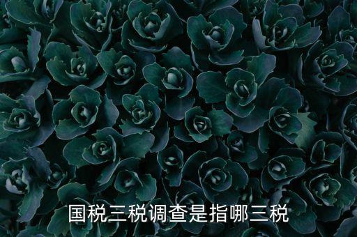 全國稅收調(diào)查是什么，全國稅收調(diào)查表中審核公式IFXXBB8 1 XXBB8 4