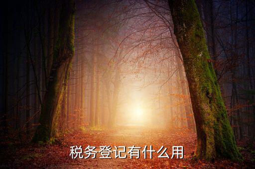 有稅務(wù)登記有什么好，稅務(wù)登記有什么用