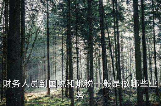 國稅地稅有什么工作，地稅工作人員有哪些職務(wù)