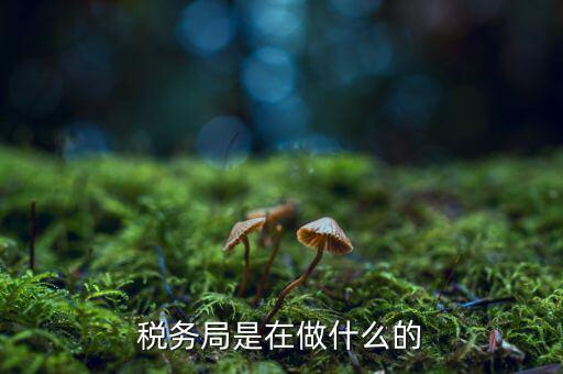 稅務(wù)總局是做什么的，稅務(wù)局是在做什么的