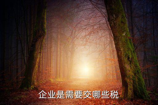 公司要交什么稅，企業(yè)是需要交哪些稅