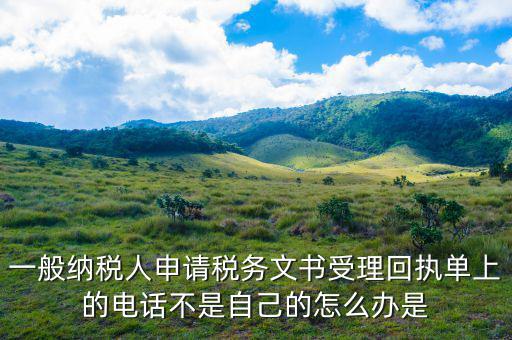 納稅文書受理是什么，陜西電子稅務(wù)局 文書受理 在哪看