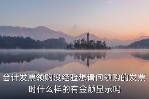 發(fā)票領(lǐng)用單是什么樣的，會(huì)計(jì)發(fā)票領(lǐng)購(gòu)沒(méi)經(jīng)驗(yàn)想請(qǐng)問(wèn)領(lǐng)購(gòu)的發(fā)票時(shí)什么樣的有金額顯示嗎
