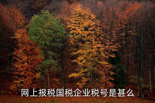 國(guó)稅稅務(wù)號(hào)是什么，國(guó)稅納稅號(hào)碼 是不是就是稅務(wù)通知書(shū)上那個(gè)納稅人識(shí)別號(hào)