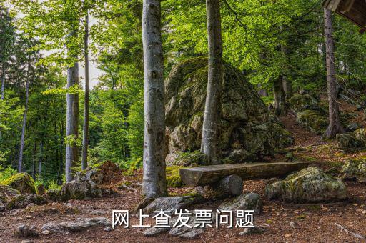 查發(fā)票流向什么意思，網(wǎng)上查發(fā)票問題