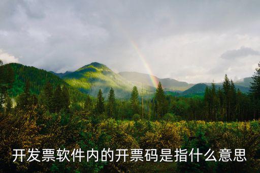 手工發(fā)票代碼什么意思，請問我發(fā)票代碼第8位9位分別是BK是什么意思