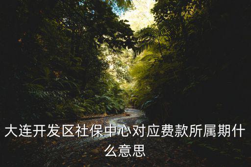 社保所屬期是什么意思，大連開發(fā)區(qū)社保中心對應(yīng)費(fèi)款所屬期什么意思