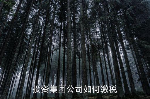 投資公司交什么稅2017，投資集團(tuán)公司如何繳稅