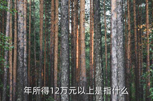 年所得12萬指的是什么意思，年所得12萬元以上是指什么