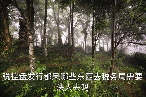 辦理稅控盤(pán)去什么地方，稅控盤(pán)發(fā)行都呆哪些東西去稅務(wù)局需要法人去嗎