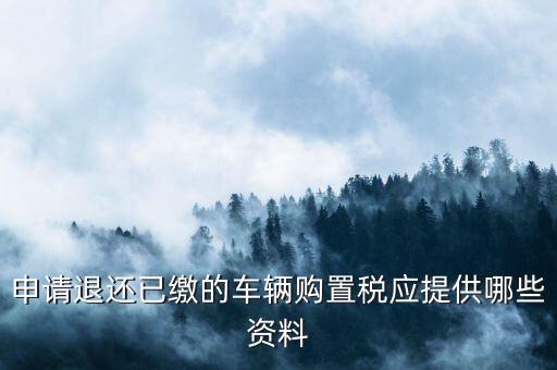 車輛退稅需要什么，現(xiàn)在購車要退什么稅
