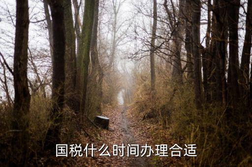 國稅局申請什么時候好，國稅什么時間辦理合適