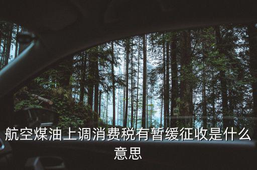 暫緩征收消費稅是什么，航空煤油上調(diào)消費稅有暫緩征收是什么意思