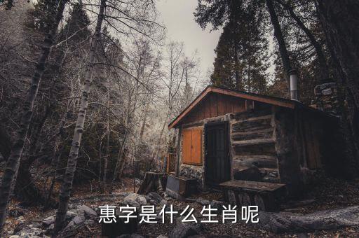 惠稅無憂的密碼是什么，自噴漆稅收商品編碼是多少