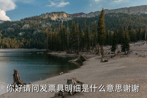 什么是個(gè)稅明細(xì)，個(gè)稅是什么是干嘛的詳細(xì)點(diǎn)哈