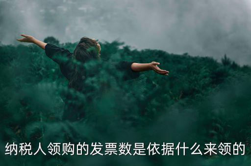 為什么領(lǐng)票人是納稅人，發(fā)票領(lǐng)購簿上的章子與納稅人名稱不一樣是怎么回事