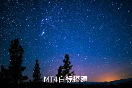 稅務(wù)系統(tǒng)為什么進(jìn)行容災(zāi)建設(shè)，小微企業(yè)該購(gòu)買什么樣的服務(wù)器涉及生產(chǎn)倉(cāng)儲(chǔ)銷售和財(cái)務(wù)等  搜