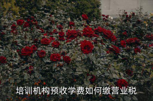 培訓機構預收學費如何繳營業(yè)稅