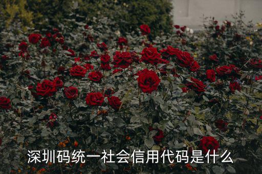 統(tǒng)一社會(huì)信用代碼指什么影響，深圳碼統(tǒng)一社會(huì)信用代碼是什么