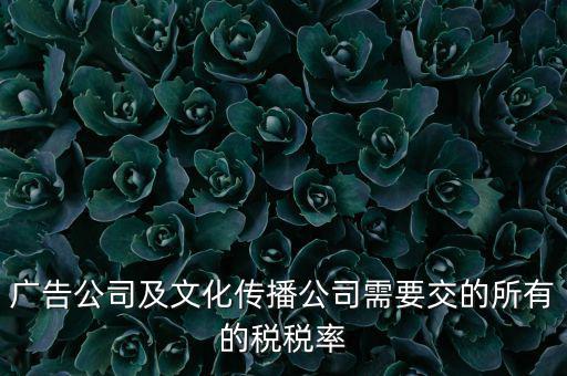 廣告公司需要交什么稅，廣告公司及文化傳播公司需要交的所有的稅稅率