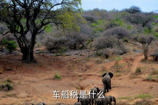 車(chē)船稅是什么