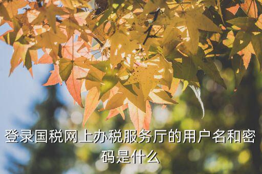 江蘇國稅電子稅務(wù)局登錄用戶名是什么，江蘇國稅網(wǎng)上辦稅服務(wù)廳的用戶名是什么