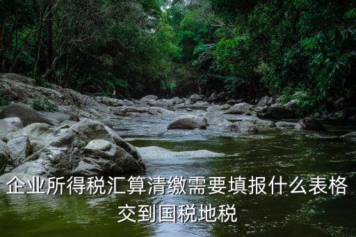 匯算清繳填寫什么表格，請教關于企業(yè)所得稅匯算清繳中需要填寫的表格的一些問題