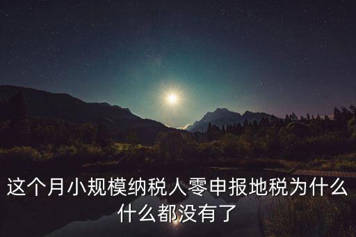 這個月小規(guī)模納稅人零申報(bào)地稅為什么什么都沒有了