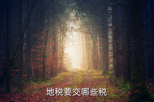 地稅需要交什么稅，地稅應(yīng)交哪些稅
