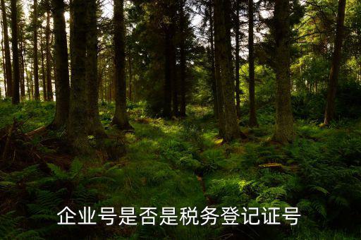 稅務(wù)企業(yè)號(hào)是什么，稅務(wù)登記證上的企業(yè)編碼是什么意思不是就是稅務(wù)號(hào)