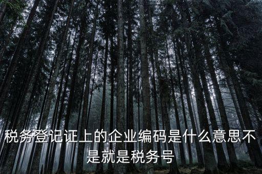 稅務編碼是什么意思，稅務登記證上的企業(yè)編碼是什么意思不是就是稅務號