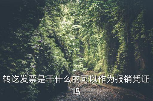 什么叫轉(zhuǎn)發(fā)票，我開了一張農(nóng)村合作信用社的轉(zhuǎn)賬發(fā)票請(qǐng)問什么是對(duì)應(yīng)發(fā)票