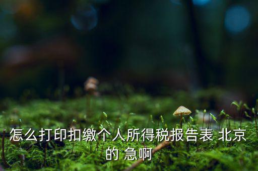 北京打印個(gè)稅需要什么資料，怎么打印扣繳個(gè)人所得稅報(bào)告表 北京的 急啊