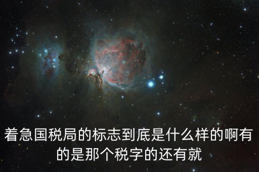 稅優(yōu)識(shí)別碼是什么樣的，納稅人辨認(rèn)號(hào)和代碼是1樣的