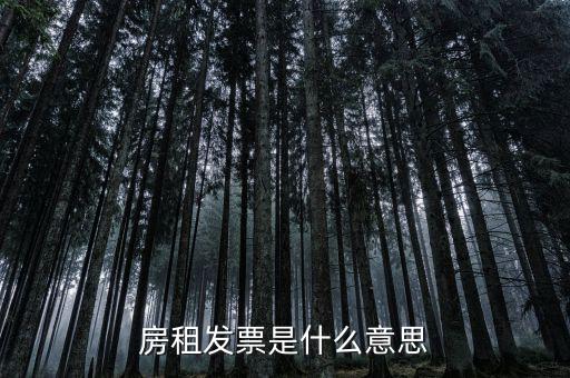 租賃協(xié)議和租金發(fā)票是什么意思，新辦企業(yè)地稅要租房協(xié)議開發(fā)票請(qǐng)問(wèn)這是開什么發(fā)票啊