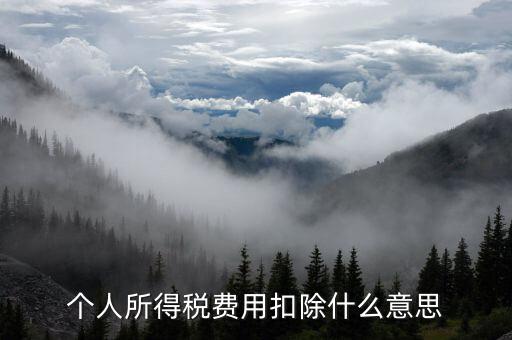 稅收扣除是什么，個人所得稅費用扣除什么意思