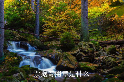 發(fā)票專用章上都有什么，發(fā)票長條章上面都有什么內容