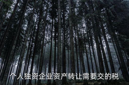 個人獨資企業(yè)資產(chǎn)轉讓需要交的稅