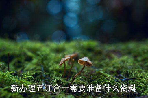 稅務(wù)五證合一需要什么資料，五證合一后稅務(wù)變更需要什么資料