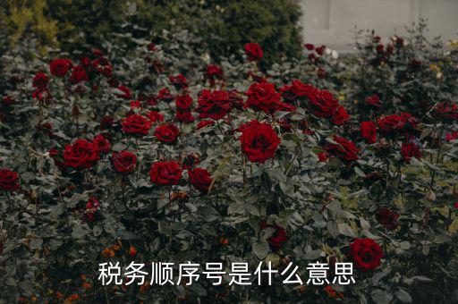 成都稅務(wù)號(hào)是什么意思，四川省國(guó)稅編號(hào)開(kāi)頭幾位數(shù)是什么