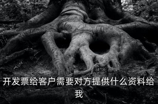開票需要對方提供什么資料嗎，開發(fā)票給客戶需要對方提供什么資料給我