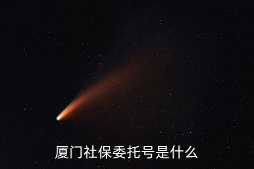 地稅社保委托號是什么，三證合一后去地稅局打社保單子說是與社保局的納稅人識別號不一