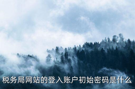 國稅網(wǎng)上登陸密碼是什么，稅務局網(wǎng)站的登入賬戶初始密碼是什么