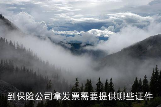 保險開專票需要什么資料，中國人壽保險打發(fā)票要什么手續(xù)