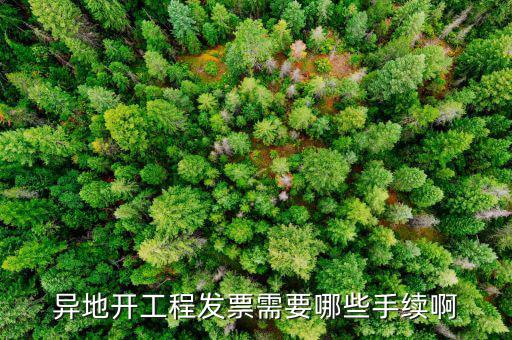 外地項(xiàng)目開(kāi)票需要什么手續(xù)，在外地開(kāi)票需要什么手續(xù)